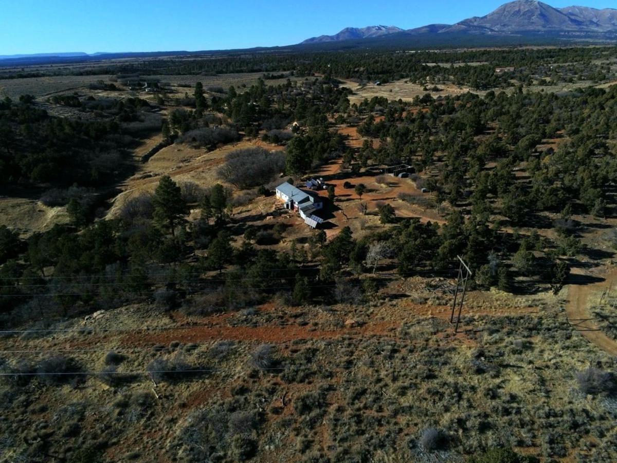 Indian Canyon Ranch Verdure Extérieur photo
