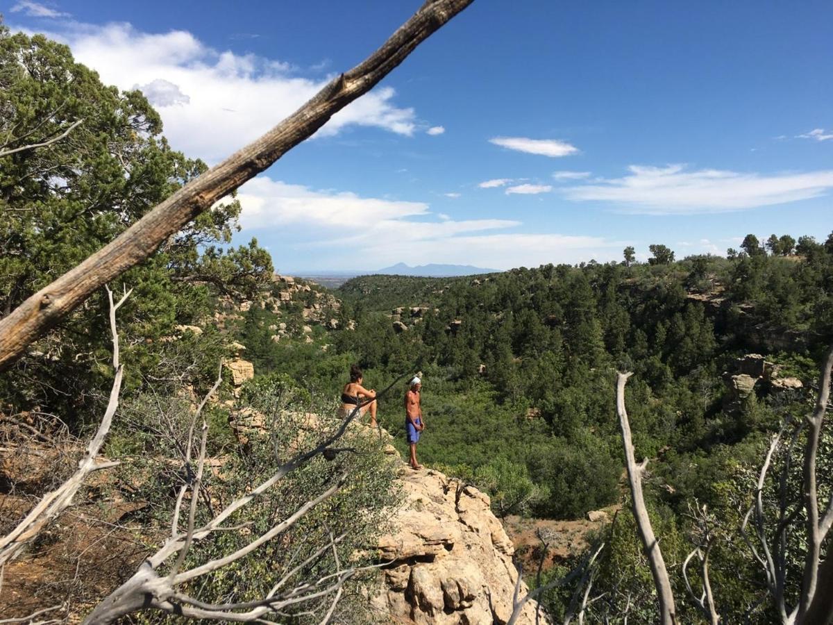 Indian Canyon Ranch Verdure Extérieur photo