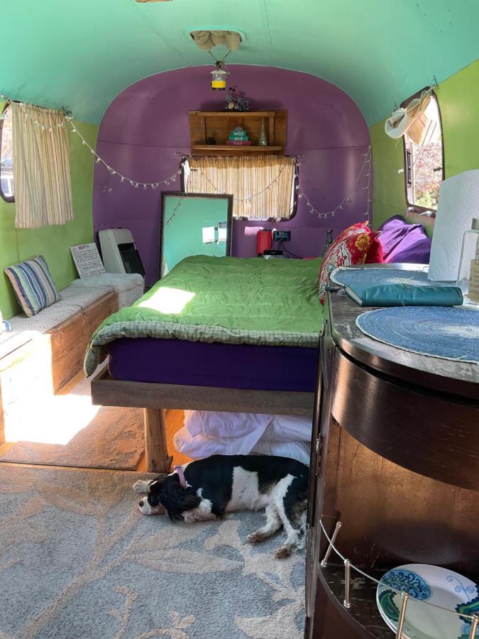 Indian Canyon Ranch Verdure Extérieur photo